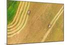 Wood Mount
