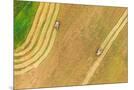 Wood Mount