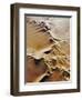 Aerial View of Sand Dunes-Martin Harvey-Framed Photographic Print