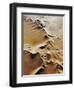 Aerial View of Sand Dunes-Martin Harvey-Framed Photographic Print