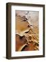 Aerial View of Sand Dunes-Martin Harvey-Framed Photographic Print