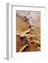 Aerial View of Sand Dunes-Martin Harvey-Framed Photographic Print