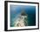 Aerial View of Sant'angelo in Ischia Island in Italy-Filipe Frazao-Framed Photographic Print