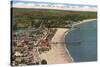 Aerial View of Santa Cruz Beach and Pier, California-null-Stretched Canvas
