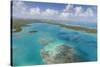 Aerial View of Sections of Reef Scattered Along the Rugged Coastline of Antigua-Roberto Moiola-Stretched Canvas