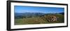 Aerial view of sheep on mountain, Pilgrim Road to Santiago de Compostela, Iraty Mountain, Basque...-null-Framed Photographic Print