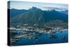 Aerial view of Sitka, Baranof Island, Alexander Archipelago, Southeast Alaska, USA-Mark A Johnson-Stretched Canvas