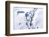 Aerial View of Ski Resort Falakro, in Greece.-Ververidis Vasilis-Framed Photographic Print