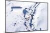 Aerial View of Ski Resort Falakro, in Greece.-Ververidis Vasilis-Mounted Photographic Print