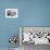 Aerial view of snow mountain and glacier on Tibetan Plateau, China-Keren Su-Framed Photographic Print displayed on a wall