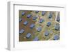 Aerial View of Solar Panels Huelva Province, Spain-Peter Adams-Framed Photographic Print