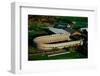 Aerial View of Soldiers Field, home of Harvard Crimson, Harvard, Cambridge, Boston, MA-null-Framed Photographic Print