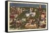 Aerial View of State Capitol, Madison, Wisconsin-null-Framed Stretched Canvas