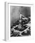 Aerial View of Statue of Liberty-null-Framed Photographic Print