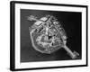 Aerial View of Statue of Liberty-null-Framed Photographic Print