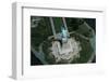 Aerial View of Statue of Liberty-null-Framed Photographic Print