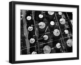 Aerial View of Storage Tanks at Humble Oil Co-Margaret Bourke-White-Framed Photographic Print