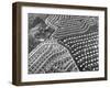 Aerial View of Suburban Housing Development Outside of Philadelphia-Margaret Bourke-White-Framed Photographic Print