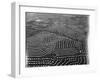 Aerial View of Suburban Housing Development Outside of Philadelphia-Margaret Bourke-White-Framed Photographic Print