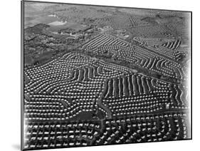 Aerial View of Suburban Housing Development Outside of Philadelphia-Margaret Bourke-White-Mounted Photographic Print