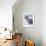 Aerial View of Summit Cone of Sangay, Dormant Volcano, Ecuador-Doug Allan-Framed Photographic Print displayed on a wall