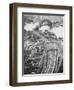 Aerial View of Sydney Harbor-null-Framed Photographic Print