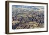 Aerial View of the Bungle Bungle, Purnululu National Parkkimberley, Western Australia-Michael Nolan-Framed Photographic Print