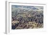 Aerial View of the Bungle Bungle, Purnululu National Parkkimberley, Western Australia-Michael Nolan-Framed Photographic Print