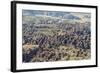 Aerial View of the Bungle Bungle, Purnululu National Parkkimberley, Western Australia-Michael Nolan-Framed Photographic Print