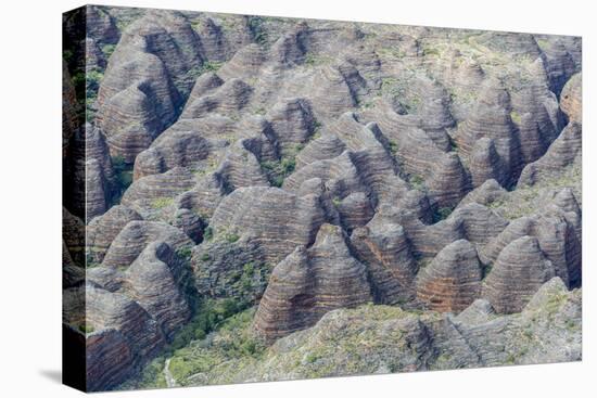 Aerial View of the Bungle Bungle, Purnululu National Parkkimberley, Western Australia-Michael Nolan-Stretched Canvas