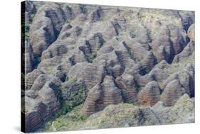 Aerial View of the Bungle Bungle, Purnululu National Parkkimberley, Western Australia-Michael Nolan-Stretched Canvas