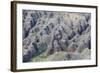 Aerial View of the Bungle Bungle, Purnululu National Parkkimberley, Western Australia-Michael Nolan-Framed Photographic Print