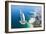 Aerial View of the Burj Al Arab, Dubai, United Arab Emirates-Bill Bachmann-Framed Photographic Print