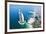 Aerial View of the Burj Al Arab, Dubai, United Arab Emirates-Bill Bachmann-Framed Photographic Print