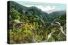 Aerial View of the Canyon, Southern Pacific Train - Los Gatos Canyon, CA-Lantern Press-Stretched Canvas