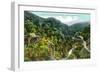 Aerial View of the Canyon, Southern Pacific Train - Los Gatos Canyon, CA-Lantern Press-Framed Art Print