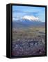 Aerial View of the Capital with Snow-Covered Mountain in Background, La Paz, Bolivia-Jim Zuckerman-Framed Stretched Canvas