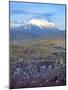 Aerial View of the Capital with Snow-Covered Mountain in Background, La Paz, Bolivia-Jim Zuckerman-Mounted Photographic Print