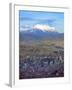 Aerial View of the Capital with Snow-Covered Mountain in Background, La Paz, Bolivia-Jim Zuckerman-Framed Photographic Print