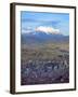 Aerial View of the Capital with Snow-Covered Mountain in Background, La Paz, Bolivia-Jim Zuckerman-Framed Photographic Print