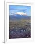 Aerial View of the Capital with Snow-Covered Mountain in Background, La Paz, Bolivia-Jim Zuckerman-Framed Photographic Print