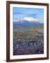 Aerial View of the Capital with Snow-Covered Mountain in Background, La Paz, Bolivia-Jim Zuckerman-Framed Photographic Print