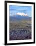 Aerial View of the Capital with Snow-Covered Mountain in Background, La Paz, Bolivia-Jim Zuckerman-Framed Photographic Print