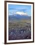 Aerial View of the Capital with Snow-Covered Mountain in Background, La Paz, Bolivia-Jim Zuckerman-Framed Photographic Print