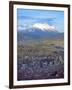 Aerial View of the Capital with Snow-Covered Mountain in Background, La Paz, Bolivia-Jim Zuckerman-Framed Photographic Print