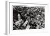 Aerial View of the Church of the Holy Sepulchre, Jerusalem, Palestine, from a Zeppelin, 1931-null-Framed Giclee Print