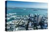 Aerial View of the City of Auckland from the Sky Tower-Michael Nolan-Stretched Canvas