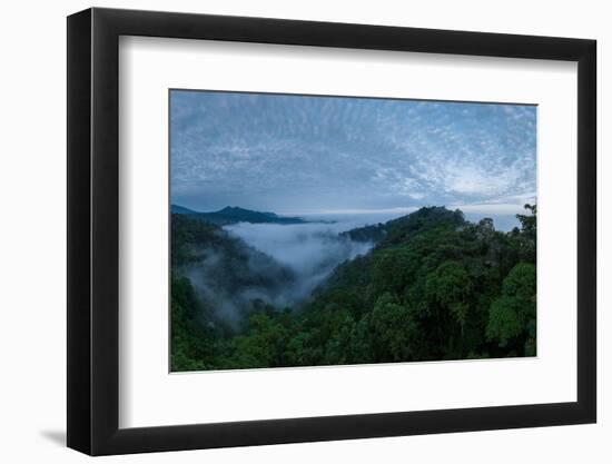 Aerial view of The Cloudforest, Mashpi, Reserva Mashpi Amagusa, Pichincha, Ecuador, South America-Ben Pipe-Framed Photographic Print