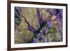 Aerial view of the Coastal Highway, HWY 101, Olympic Peninsula, Washington State, USA-Panoramic Images-Framed Photographic Print