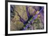 Aerial view of the Coastal Highway, HWY 101, Olympic Peninsula, Washington State, USA-Panoramic Images-Framed Photographic Print